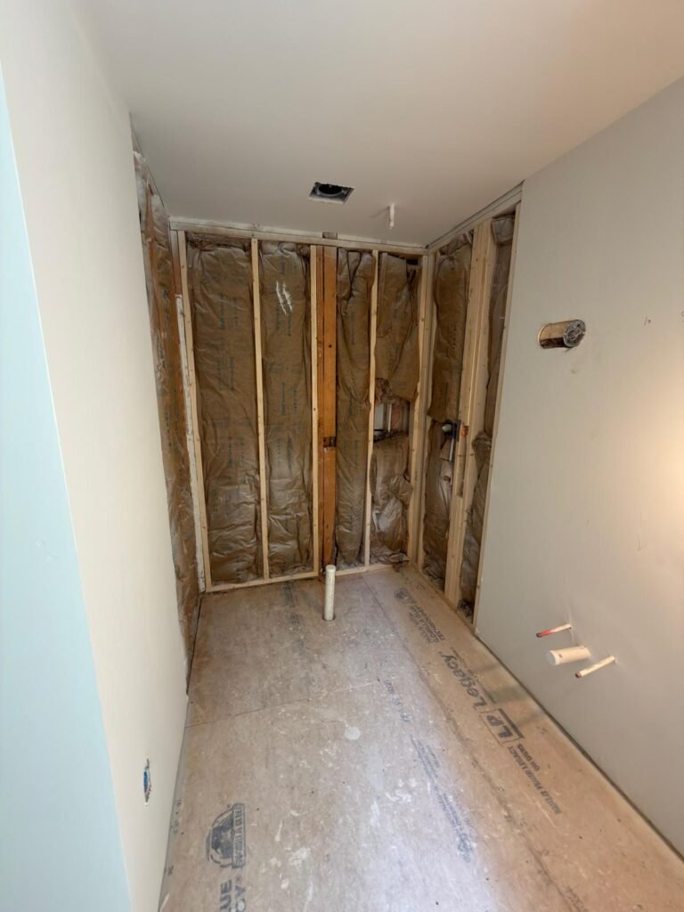 Full-Home Remodel
